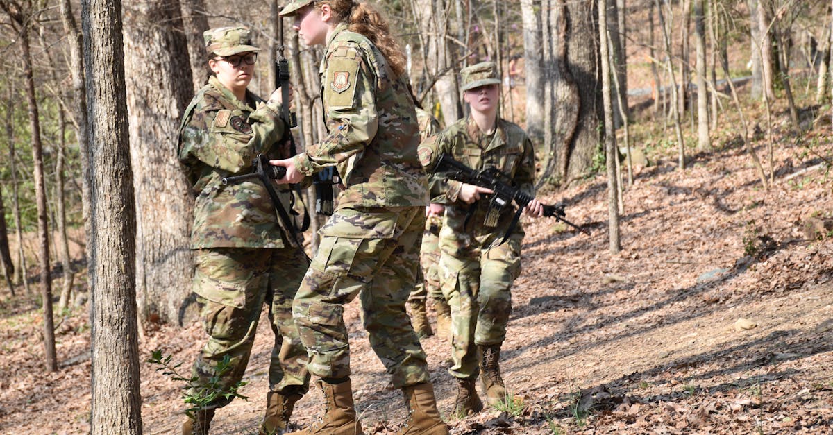 猎聘实名账号:福建鹌鹑苗购买平台