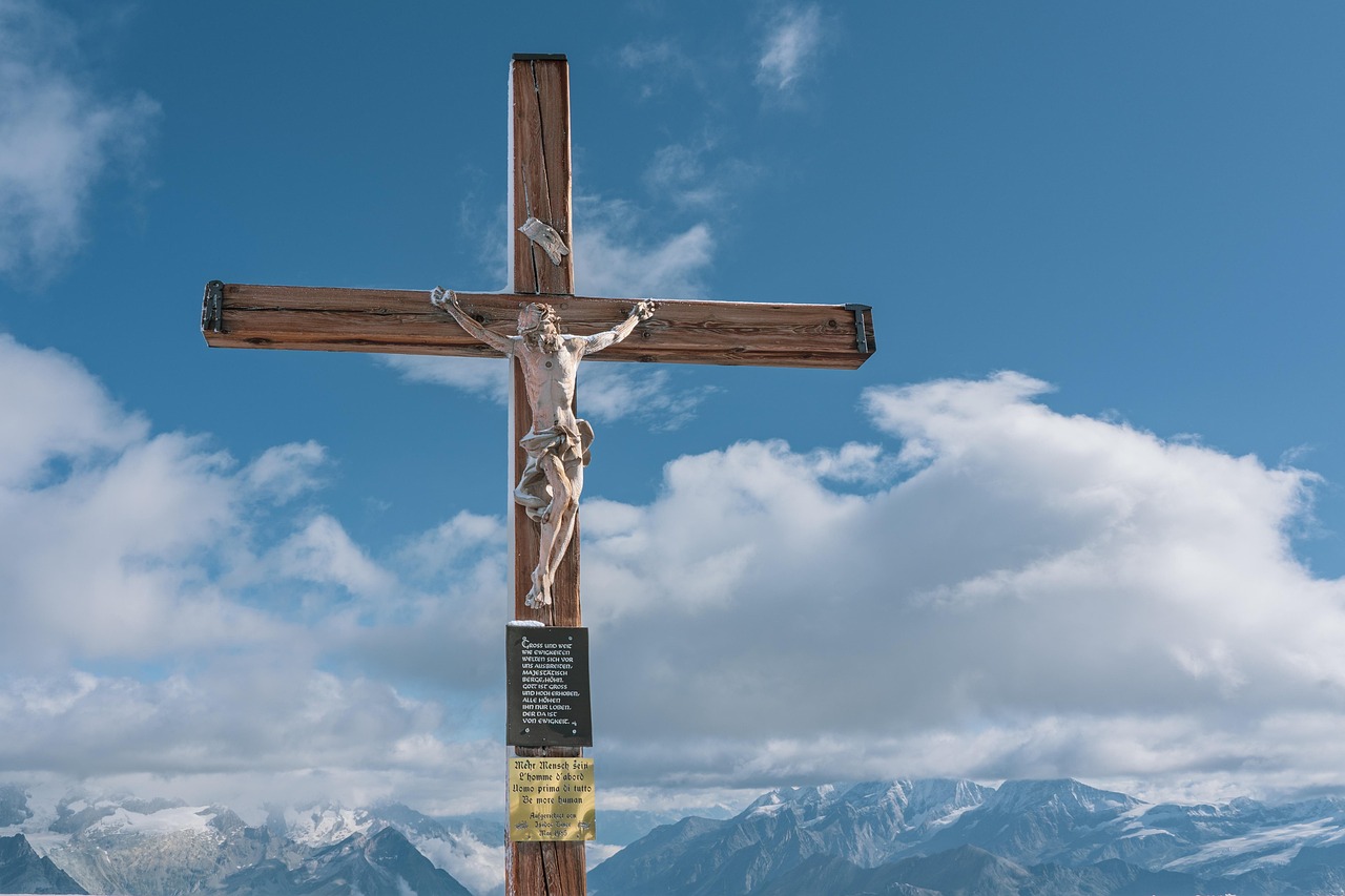 菠萝云实名账号：一起学网校app详情下载教程