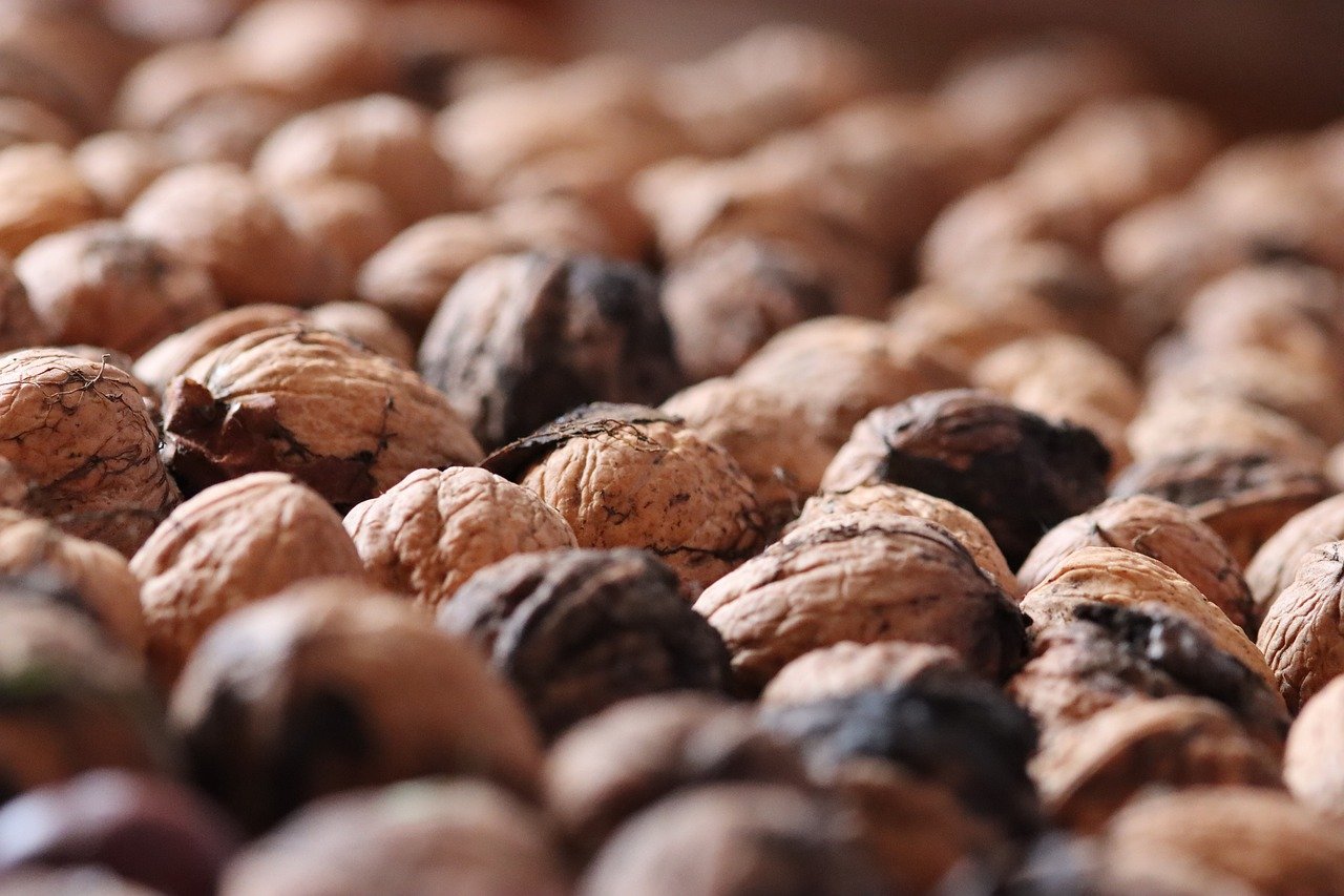 支付宝认证资料：河西新公司注册代理