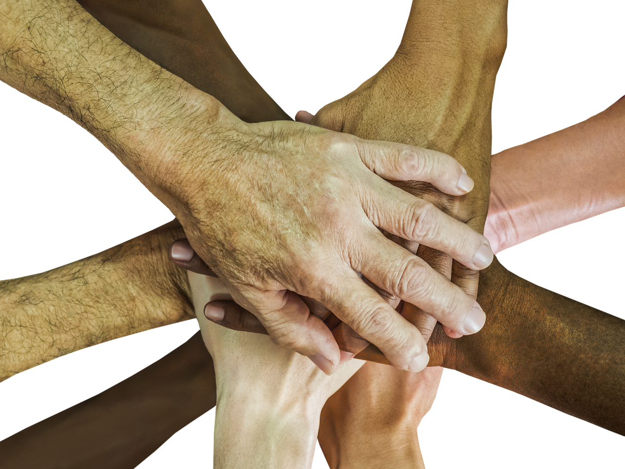 西部数码实名账号:初恋官方详情下载教程app