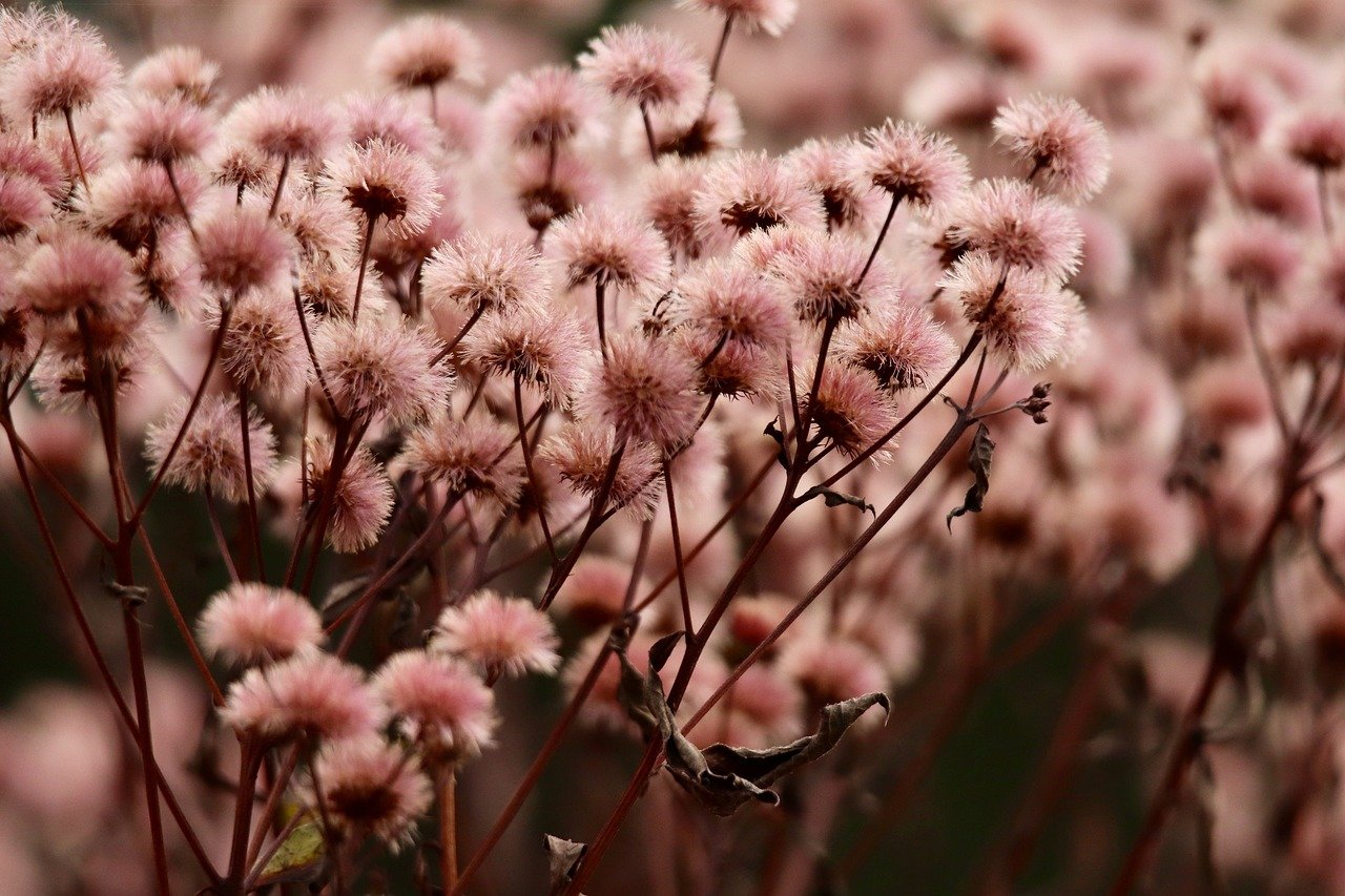 在线DDOS平台攻击|tt语音平台代理